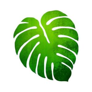 아트박스/블랭코 블랭코 스텐실도안706 몬스테라잎