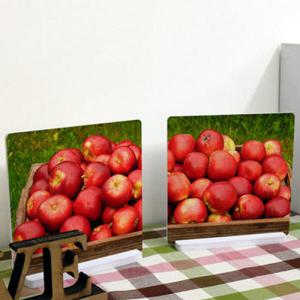 아트박스/꾸밈 cc806-스탠드액자2P_바구니속사과3