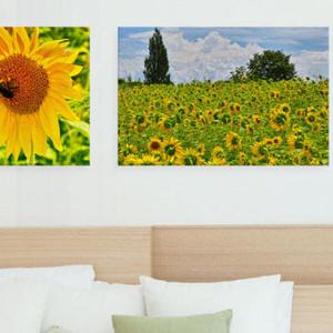 아트박스/꾸밈 pa451-아크릴액자_유화같은해바라기(대형)