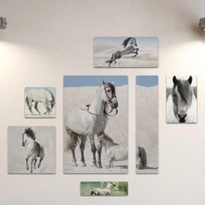 아트박스/꾸밈 if146-멀티액자_우아한자태를가진백마