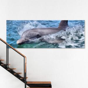 아트박스/꾸밈 ct655-헤엄치는돌고래_대형노프레임