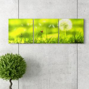 아트박스/꾸밈 cv531-민들레홀씨_소형노프레임세트