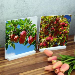 아트박스/꾸밈 pk315-스탠드액자2P_풍요로운사과나무1