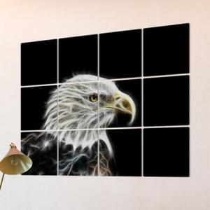 아트박스/꾸밈 ic911-멀티액자_풍수동물(독수리)