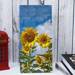 아트박스/꾸밈 ie703-폼아크릴액자18CmX38Cm_파란하늘해바라기