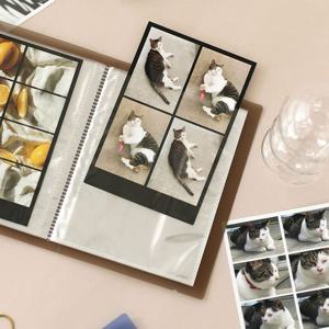 페이퍼리안 퍼펙트모먼트 PP 4X6 네컷앨범 스티커 다꾸 다이어리 꾸미기 다꾸스티커 칭찬스티커 모양스티커 노트 선물 도트스티커