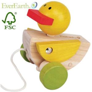 [생활] 에버어쓰 EverEarth 얄미운오리