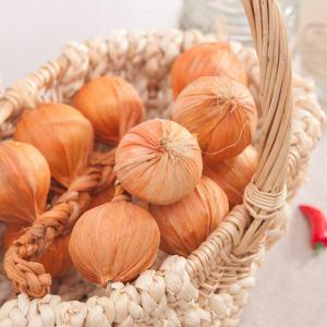 아트박스/플라워트리 마늘 모형 채소 (12개입) 과일 빵 모조 인