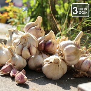 [삼촌밥먹자] 무안 통마늘 대서 대 5kg