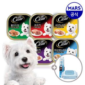 시저 주식 캔 100gx48개 골라담기+애견칫솔+베베숲물티슈1팩