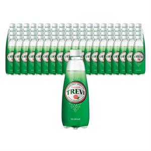 롯데칠성음료 트레비 자몽 300ml 80개