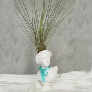 아트박스/모리아트 대만여인 석고상화분 틸란드시아 준세아+모스