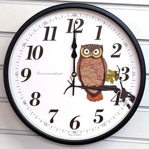 GB4538 무소음 부엉이 교육용 메탈 벽시계 블랙 30cm 벽시계 부엉이시계 메탈시계 무소음시계 인테리어시계