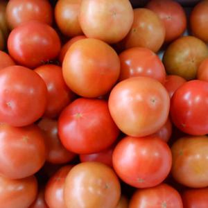 싱싱한 토마토 5kg(4번)