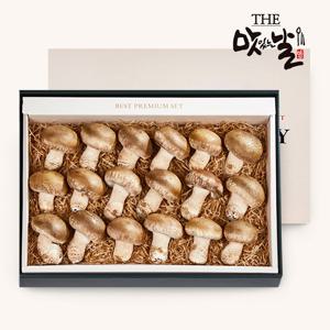 [맛있는날]무농약 참송화버섯 프리미엄 선물세트 800g/19~21개