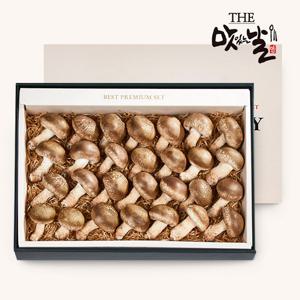 [맛있는날]무농약 참송화버섯 이코노미 선물세트 1kg/28~30개