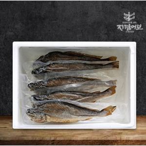 영광법성포 간편 찐보리굴비(부세)5미 28cm내외