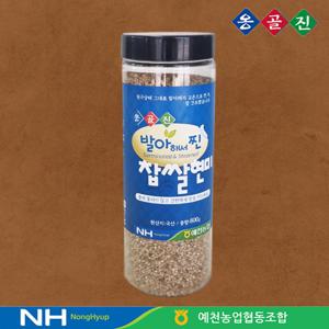 예천농협 옹골진 국내산 발아해서 찐 찹쌀현미 800g