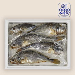 법성포 부세보리굴비 진공팩 5미/28cm내외
