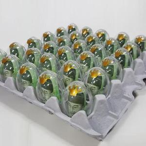 아트박스/제이벌룬 계란한판 이벤트DIY세트[계란판뚜껑+투명에그