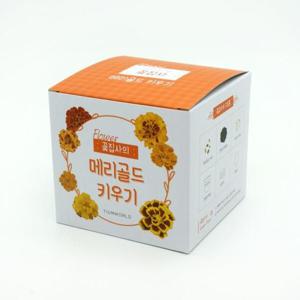 아트박스/오피스큐 꽃집사 메리골드