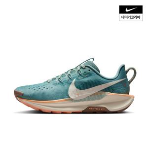 [나이키] 페가수스 트레일 5 (여성) DV3865-010