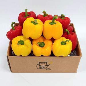빨강 노랑 못난이 파프리카 사이즈/색상랜덤 5kg
