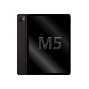 Apple 아이패드 프로 11 M5 스페이스 블랙 (스탠다드 글래스) 256GB, WiFi전용 MDWK4KH 국내정품 Ss