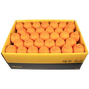 제주 꼬마한라봉 소과 10kg(56~70과 내외)