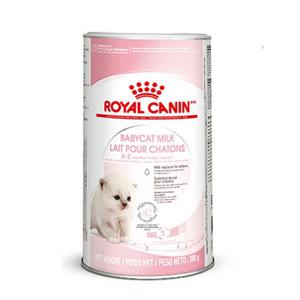 로얄캐닌 베이비캣 밀크 총 300g(100gX3개) 고양이우유 고양이사료 고양이밀크 급여 젖병 포함