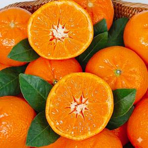 고당도 썬키스트 만다린 3kg