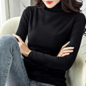 여성가을니트티 여자 쫀쫀한 소재 스텐다드핏 기모 목폴라 티셔츠
