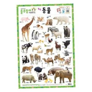 새샘 사운드벽보 룰루랄라 동물/520mmx765mm (1개)