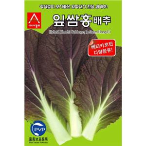 아시아종묘 씨앗 배추 잎쌈홍배추 500립