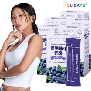 홀리데이즈 블루베리 퓨레 스틱 즙 100% 14포 6박스