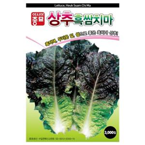 아시아종묘 씨앗 상추 흑쌈치마 3000립
