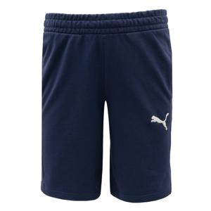 푸마 팀골 캐쥬얼 쇼트(65860806)