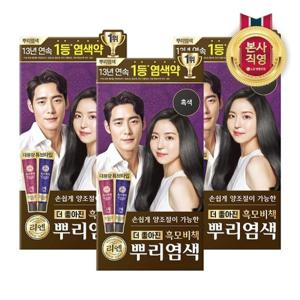 [LG생활건강]리엔 흑모비책 뿌리새치염색 크림 100g 흑색 x 3개_