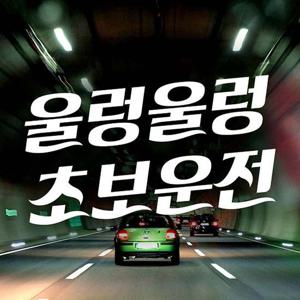 자동차용품 울렁울렁 초보운전 초보운전스티커-반사