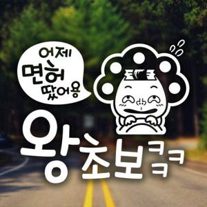 파마줌마 어제 면허땄어용 왕초보 / 초보운전 반사 자동차스티커
