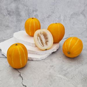 [ 애플리아 ] 26년 햇참외 못난이 성주참외 1.5kg ( 혼합과  / 3∼ 11과)