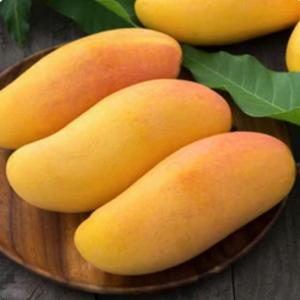항공직송 태국 마하차녹 무지개망고 4kg(8-12과)