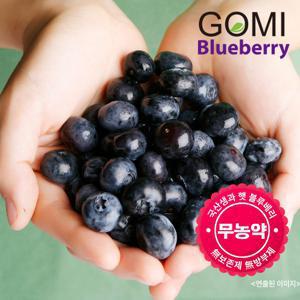 국내산 공주 무농약 생 블루베리 100g x 6팩 (특등급)