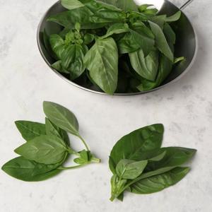 [우리가락]바질 100g