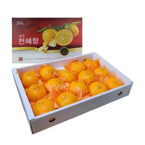 제주 천혜향 선물세트 1.6kg 대과