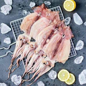 갤러리아_원양산 촉촉한 반건조오징어 왕특특대사이즈 5미 x 2개 (2kg내