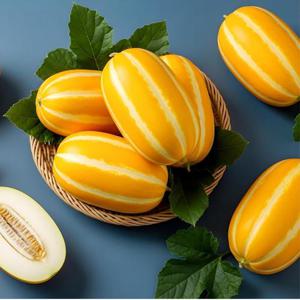 정품 성주 꿀 참외 5kg 로얄과