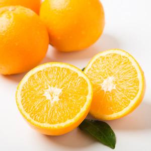 [자연품애] 블랙라벨 오렌지 대과 10과