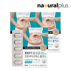 갤러리아_에버핏 장용성 100억 유산균 프로바이오틱스 30캡슐 3박스