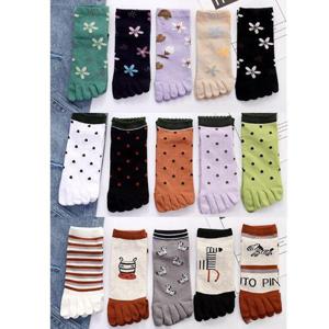 여성 발가락양말 단목 5족 세트 100425